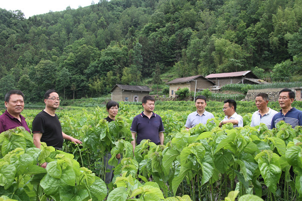 安康市商務(wù)局領(lǐng)導(dǎo)來(lái)我公司調(diào)研春蠶收購(gòu)及扶貧點(diǎn)蠶?；亟ㄔO(shè)情況